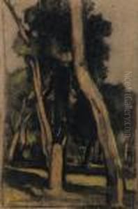 La Pineta by Ludovico Tommasi