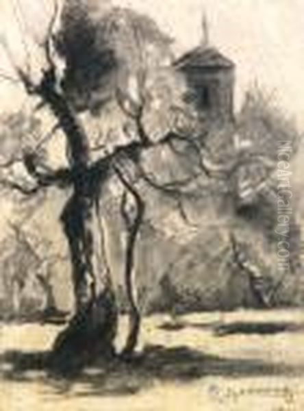Albero Contorre - view 1