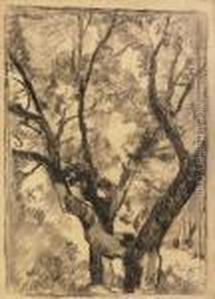 Albero - view 1