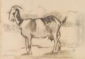 La Capra by Ludovico Tommasi