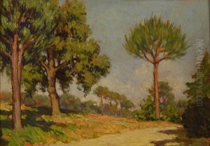 Verso Viareggio