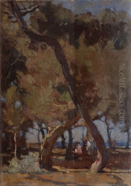 Alberi - view 1