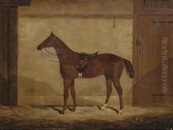 A chestnut hunter in a stable - view 1