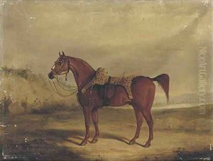 A chestnut horse saddled