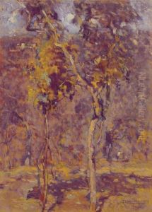Bosco by Ludovico Tommasi