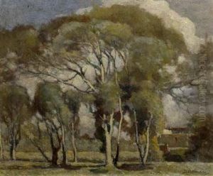 Alberi