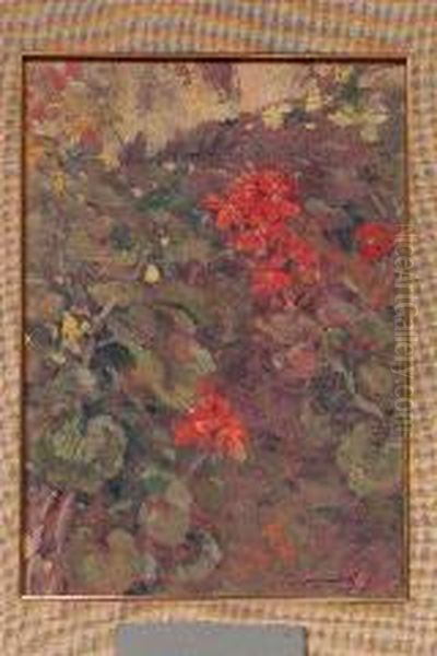 Studio Di Gerani - view 1