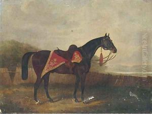 A horse with ornate sadle cloth by Samuel Spode