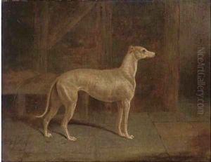A prize greyhound in an interior by Samuel Spode