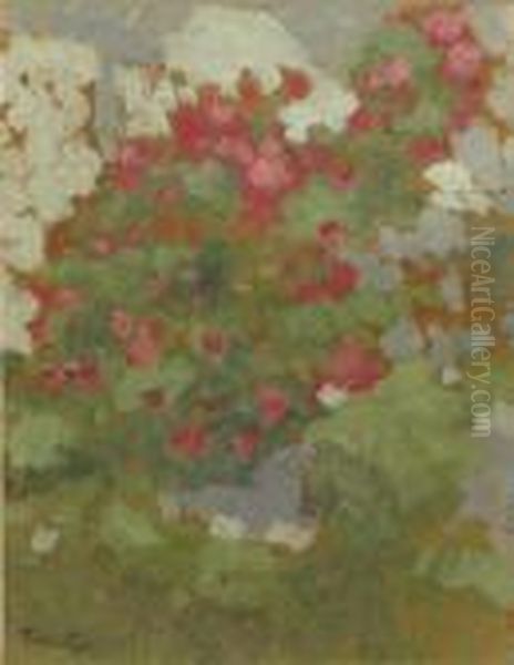 In Gradina - view 1