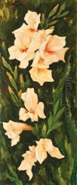 Imperial Lilies - view 1