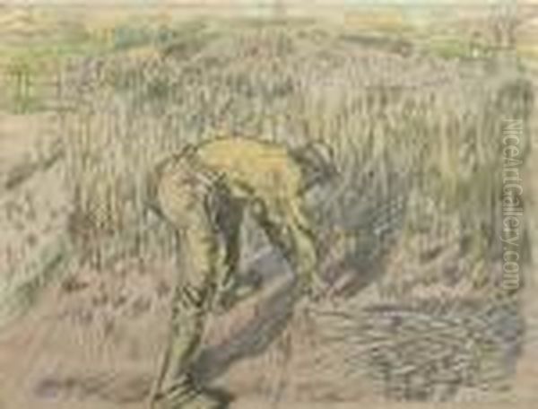 Boonensnijder; Harvesting Beans - view 1