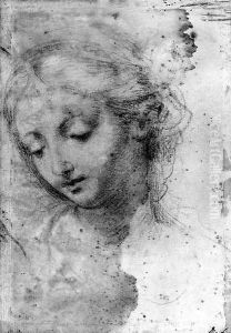 The Head of a young Woman looking down