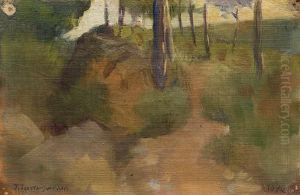 Paisaje De Vallvidrera