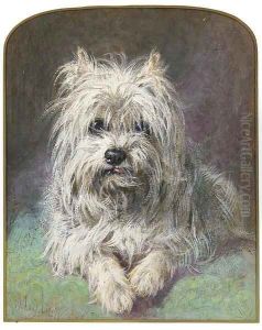 A West Highland terrier