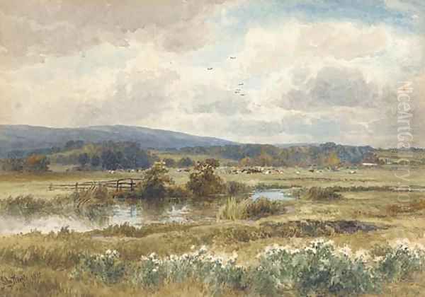 Cows grazing in the water meadows - view 1