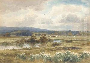Cows grazing in the water meadows by John Steeple
