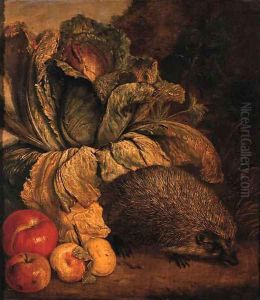 A hedgehog, a cabbage and apples at the foot of a tree