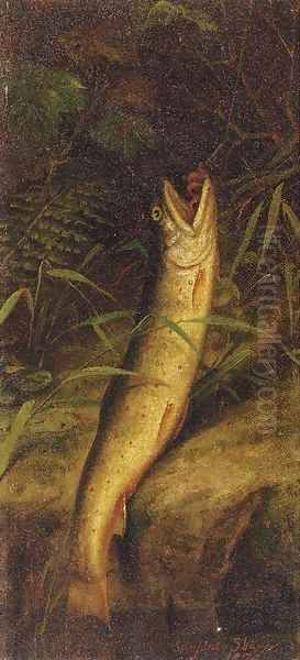 A hooked eel - view 1