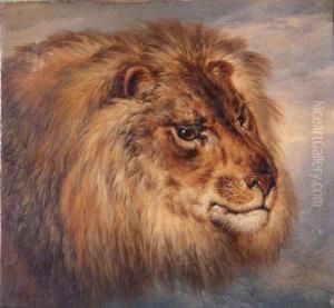 Head Studies Of A Lion And Lioness