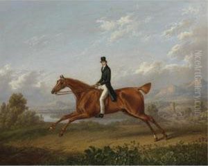 A Gentleman On A Galloping Chestnut Horse thumbnail