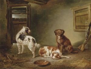Three Dogs In A Barn