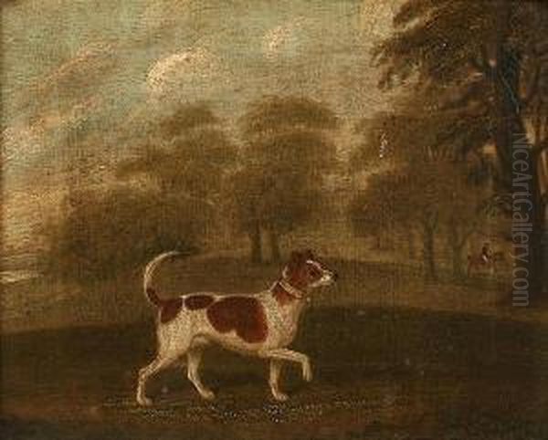 Circle Of "bluecap", A Terrier In A Woodland - view 1