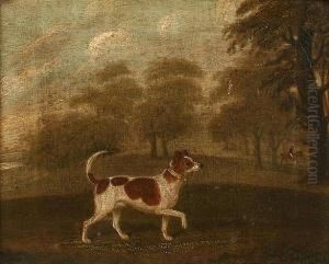 Circle Of "bluecap", A Terrier In A Woodland Circle Of "bluecap", A Terrier In A Woodland