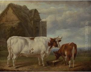 A Pair Of Prize Shorthorn Cattle In A Farmyard by Charles Towne