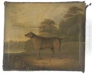 A Dog In A Parkland Landscape, A Church Spire Beyond
