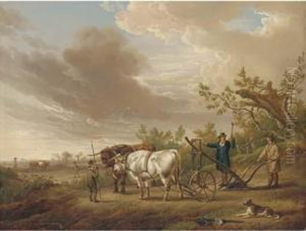 Oxen Harnessed To A Plough - view 1