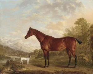 A Bay Hunter And Terrier In A Mountainous Wooded Landscape, A Townand River Beyond by Charles Towne