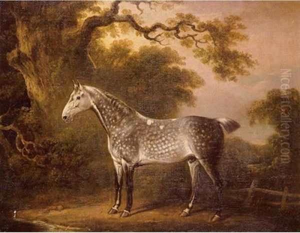 A Dappled Grey Hunter - view 1