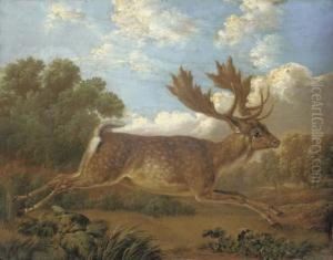 A Fallow Deer Leaping Across A Field In A Landscape by Charles Towne