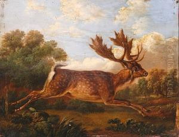 The Running Stag - view 1