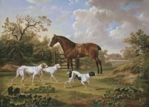 A Bay Hunter And Three Pointers A Bay Hunter And Three Pointers