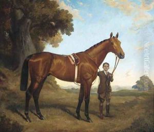 The head of a bridled racehorse