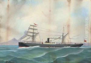 The S.S. Creole in Neapolitan waters The S.S. Creole in Neapolitan waters
