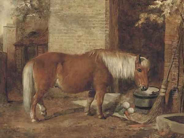 A pony in a stable yard - view 1