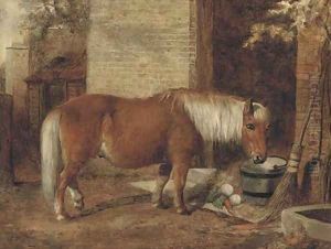 A pony in a stable yard