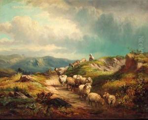 Sheep on a mountain track