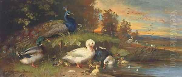 Ducks and a peackock at a lakeside - view 1