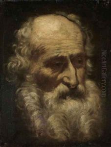 Head of a bearded man by Emilian School