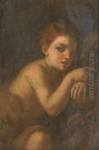 The Infant Saint John the Baptist by Andrea Del Sarto