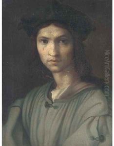 Portrait of a young man, bust-length by Andrea Del Sarto