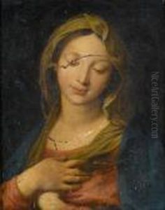 The Madonna The Madonna