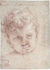 Head of a young child by Elisabetta Sirani