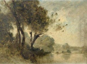 Arbres Au Bord D'un Fleuve Arbres Au Bord D'un Fleuve