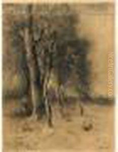 Personnage Derriere Un Grand Arbre Personnage Derriere Un Grand Arbre