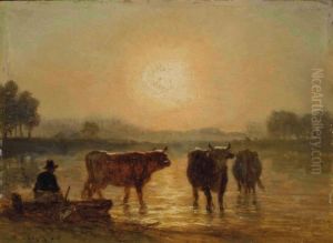 Vaches S'abreuvant Au Coucher Du Soleil